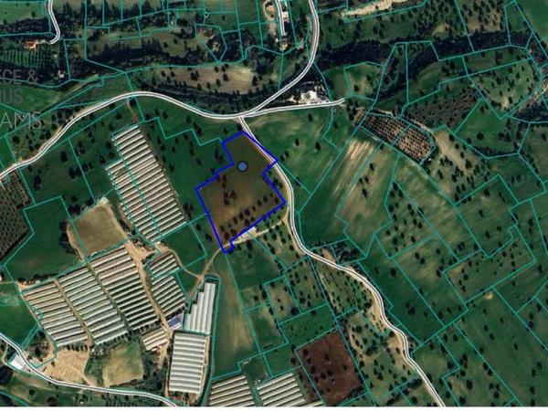 plot for sale mazotos larnaca 7779366 image 16132982