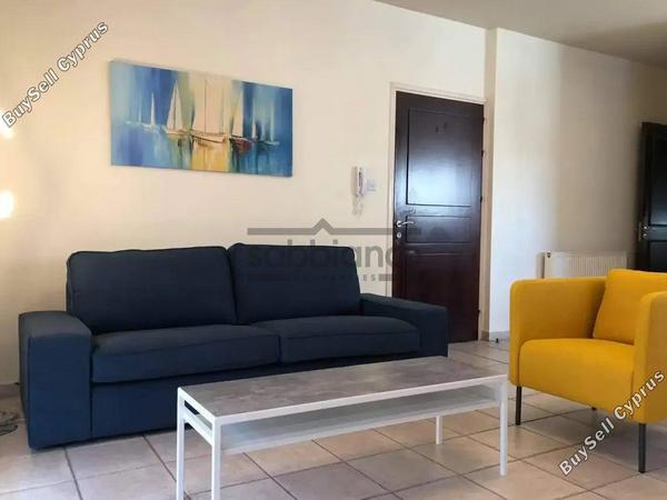 2 bedroom apartment for rent dasoupoli nicosia 8748466 image 16464661