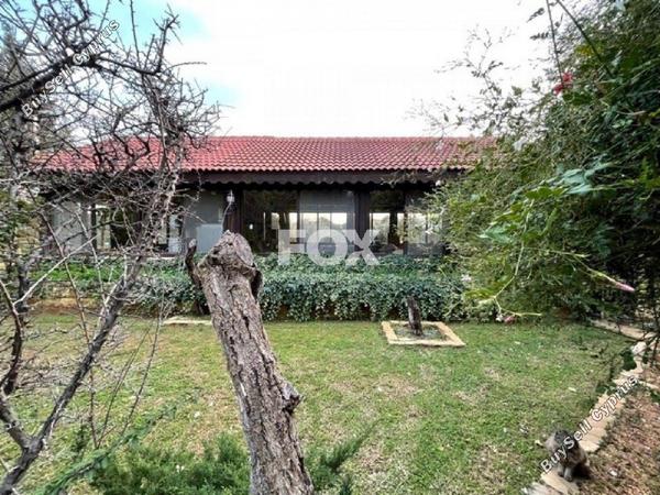 5 bedroom bungalow for sale paramytha limassol 1148466 image 6510012