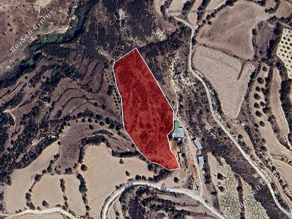 land for sale drynia paphos 7839466 image 15596569
