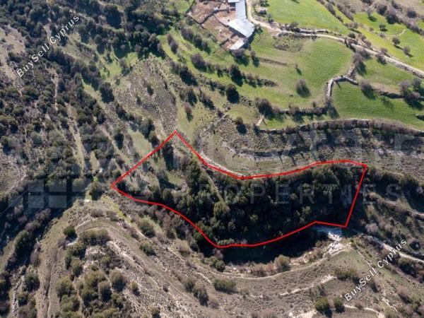 plot for sale dora limassol 7871466 image 11381379