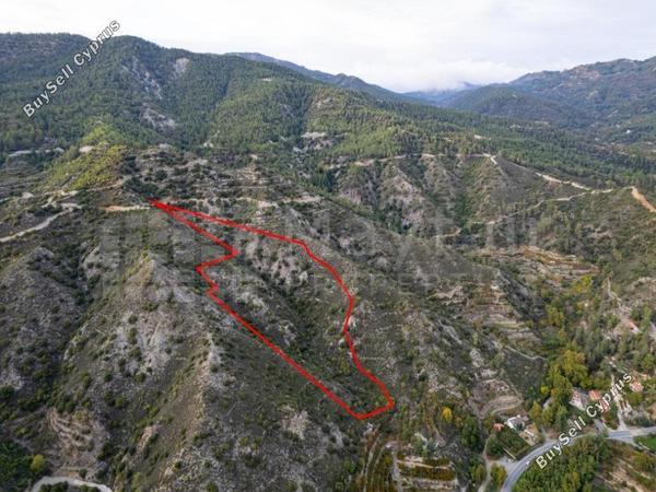 plot for sale pelendri limassol 7872466 image 11385341