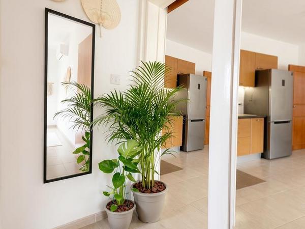 1 bedroom apartment for sale geroskipou paphos 8535566 image 15484185