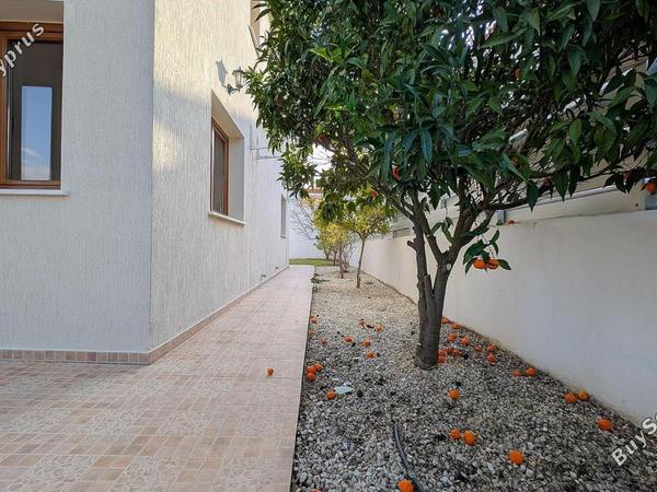 3 bedroom detached house for sale tsada paphos 8113566 image 13278974