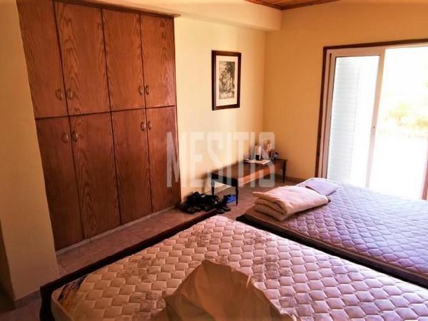 4 bedroom detached house for sale agios theodoros soleas nicosia 975566 image 10488622
