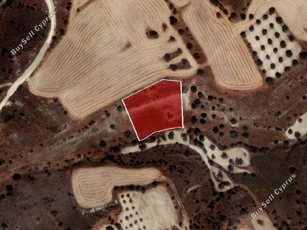 land for sale alampra nicosia 944566 image 6817270
