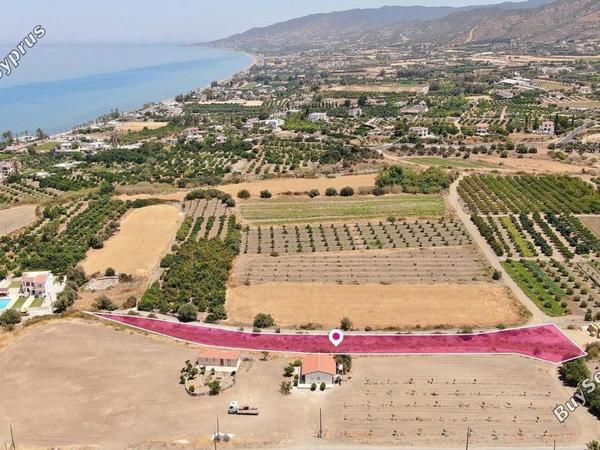 land for sale argaka paphos 8629566 image 15868975