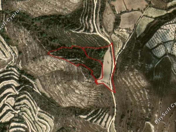 land for sale koili paphos 8649566 image 16685845