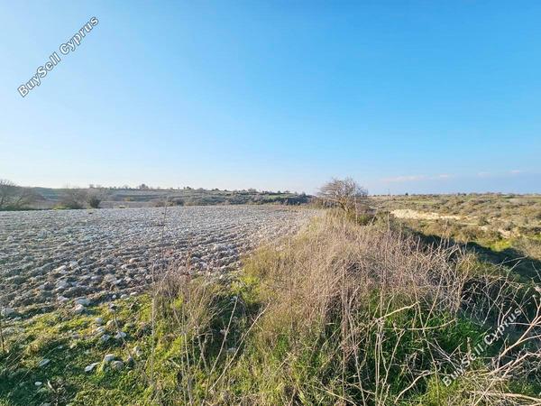 land for sale pano arodes paphos 1648566 image 4215411