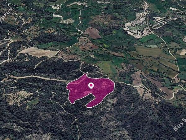 land for sale lysos paphos 1897666 image 14207255
