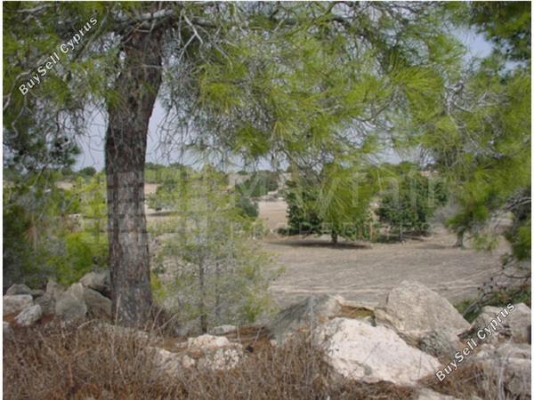 land for sale mazotos larnaca 8106666 image 13246249