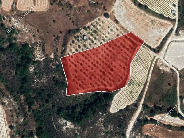 land for sale pachna limassol 8785666 image 16656177
