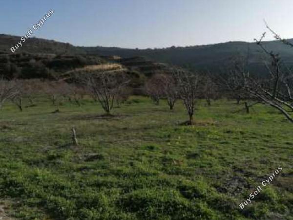 land for sale pachna limassol 8785666 image 16656178
