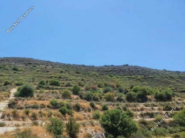 land for sale pachna limassol 945666 image 17102726