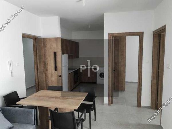 1 bedroom apartment for rent aglantzia nicosia 8083766 image 16423582