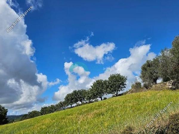 land for sale drynia paphos 7879766 image 16015745