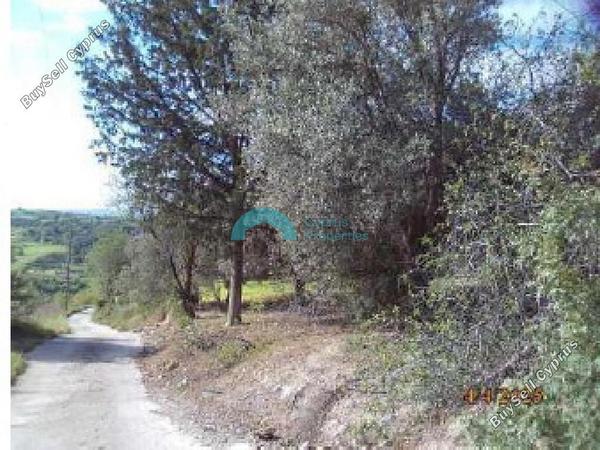 land for sale drynia paphos 7879766 image 16015751