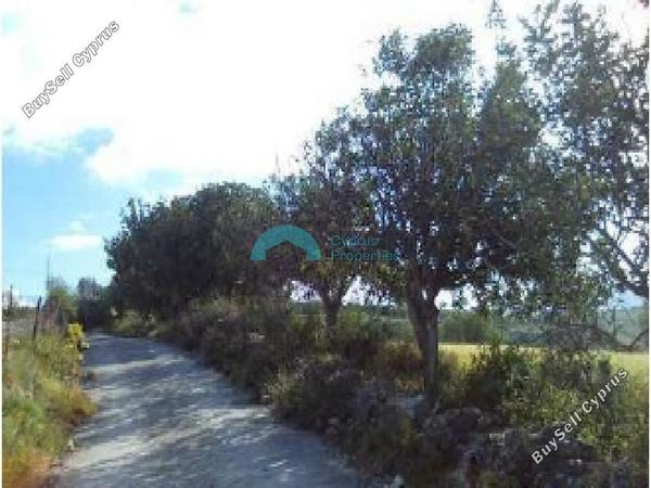 land for sale drynia paphos 7879766 image 16015752
