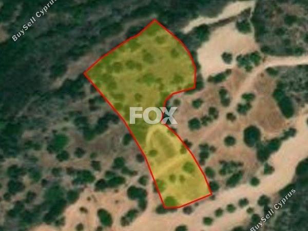 land for sale neo chorio paphos 1159766 image 5529556