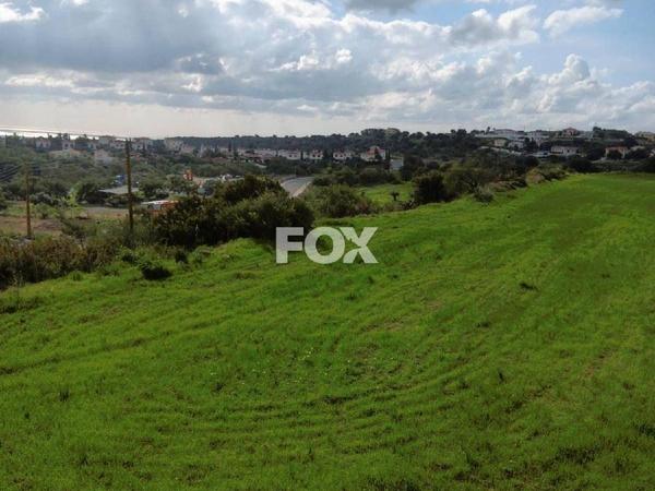 land for sale pissouri limassol 1261766 image 5582020