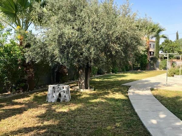 7 bedroom detached house for sale latsia nicosia 8360866 image 14693393
