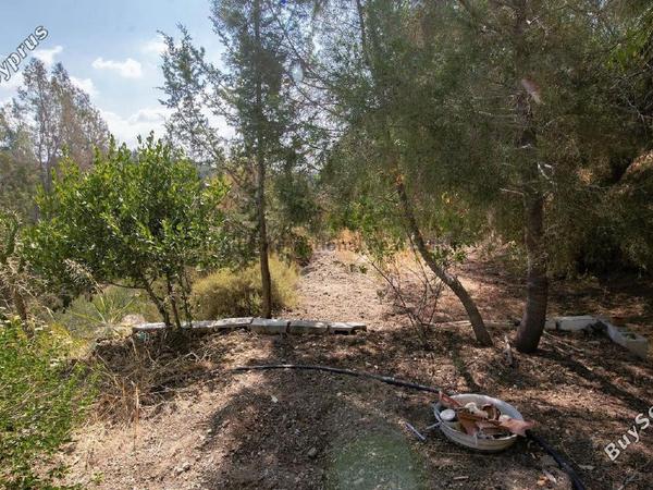 3 bedroom detached house for sale vavla larnaca 7544966 image 9867579