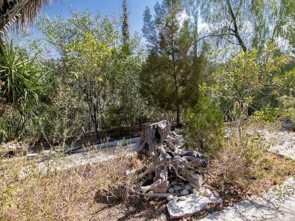 3 bedroom detached house for sale vavla larnaca 7544966 image 9867596