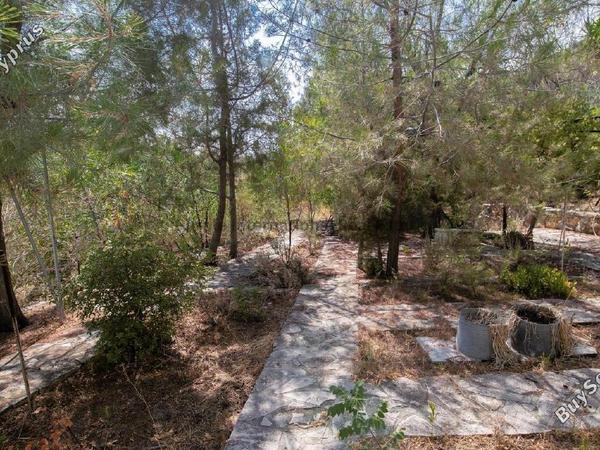 3 bedroom detached house for sale vavla larnaca 7544966 image 9867599