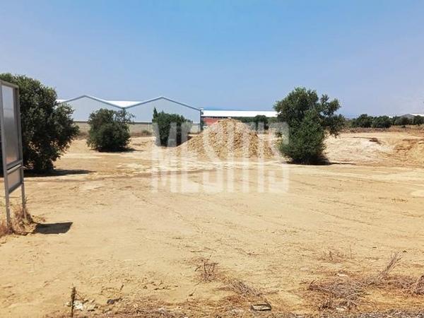 studio warehouse for sale tseri nicosia 974966 image 10472254