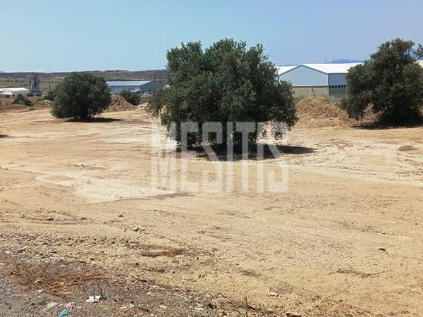studio warehouse for sale tseri nicosia 974966 image 11037333