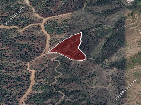 land for sale agios theodoros soleas nicosia 946076 image 6816002