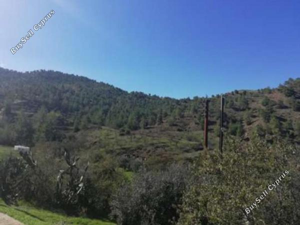 land for sale agios theodoros soleas nicosia 946076 image 6816003
