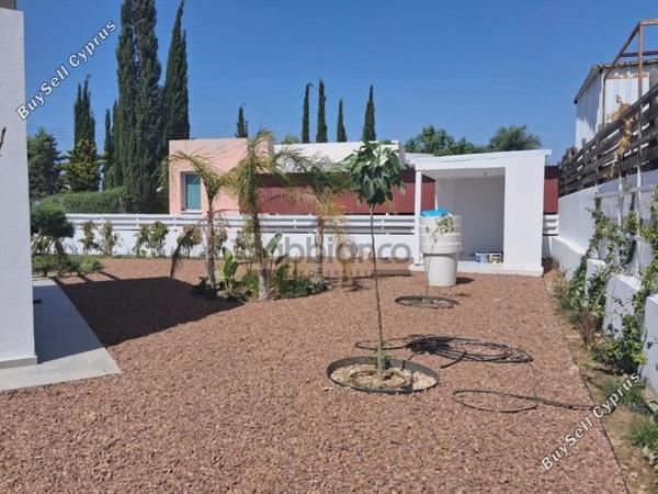 3 bedroom detached house for rent moni limassol 8753276 image 16509087