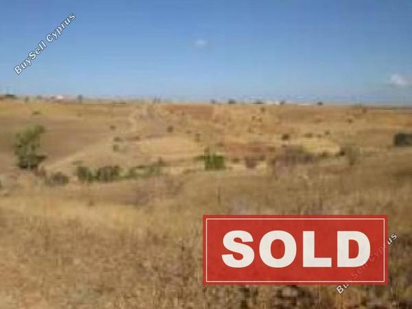 land sold orounta nicosia 1084276 image 12894027