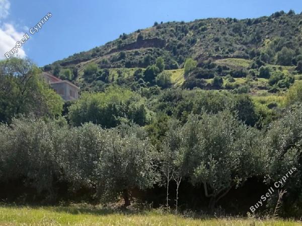 land under offer pomos paphos 1847276 image 6650490