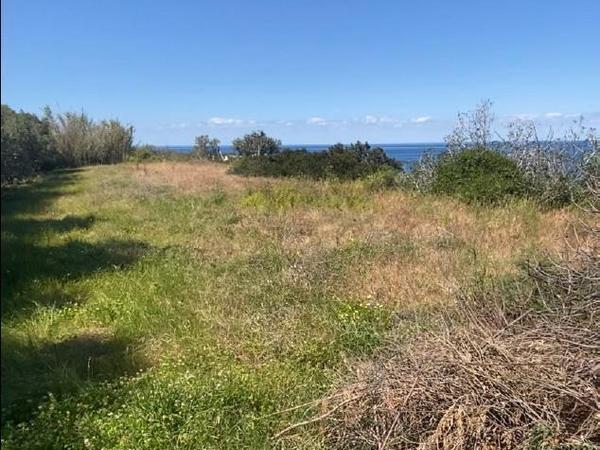 land under offer pomos paphos 1847276 image 6650493