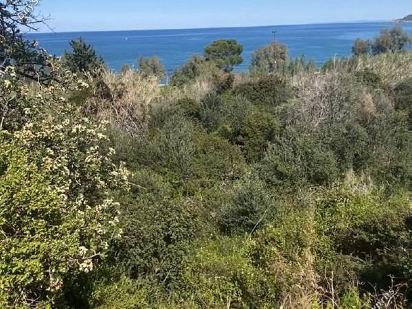 land under offer pomos paphos 1847276 image 6650494
