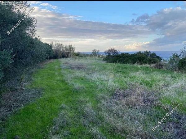 land under offer pomos paphos 1847276 image 6650495