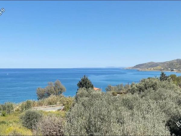 land under offer pomos paphos 1847276 image 6650496