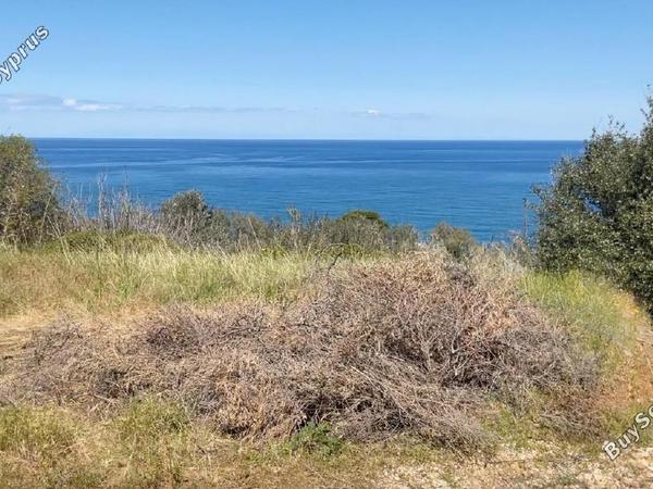 land under offer pomos paphos 1847276 image 6650498