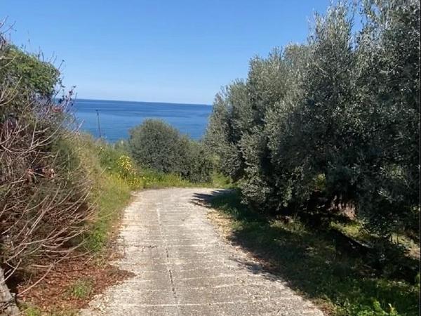 land under offer pomos paphos 1847276 image 6650500