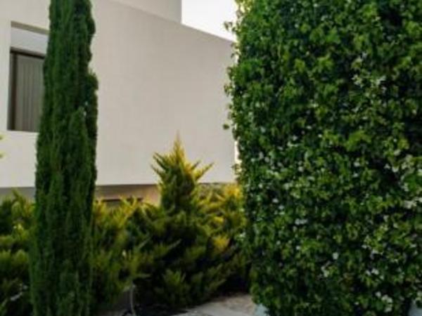 5 bedroom detached house for sale sea caves peyia paphos 8571376 image 15651265