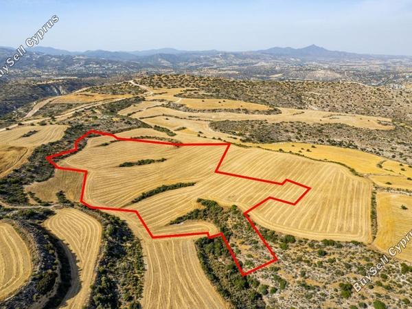 land for sale choirokoitia larnaca 1087376 image 15868732