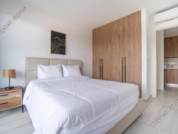 1 bedroom apartment for rent kato paphos universal paphos 8844476 image 17519671