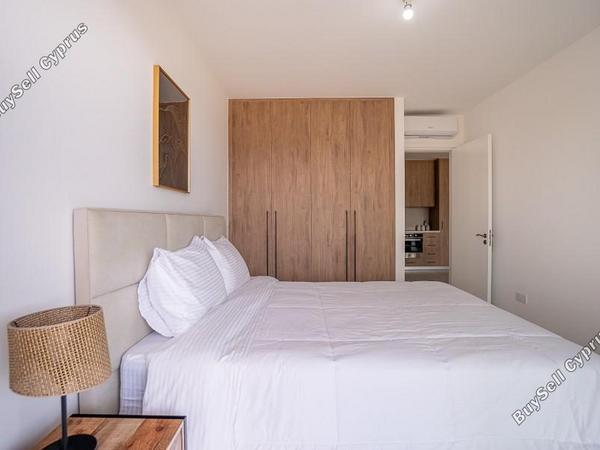 1 bedroom apartment for rent kato paphos universal paphos 8844476 image 17519673