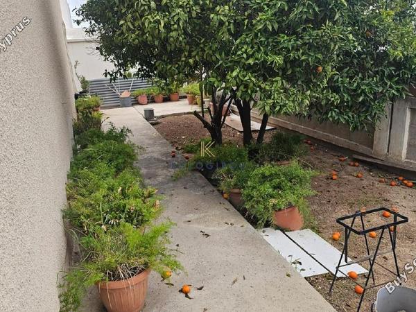 1 bedroom semi detached house for sale larnaca municipality larnaca 7986476 image 11945476
