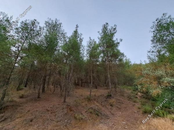 land for sale palaichori oreinis nicosia 1689476 image 4427241