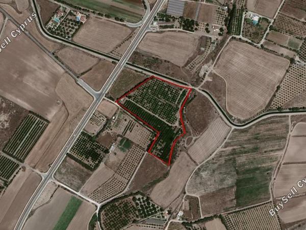 land under offer acheleia paphos 828476 image 15178586