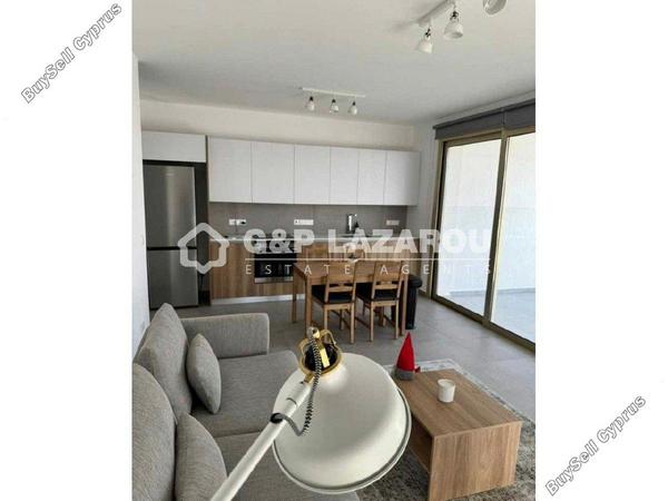 2 bedroom apartment for rent agios dometios nicosia 7874576 image 12671081