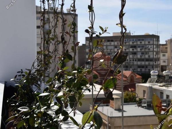 2 bedroom apartment for sale agios nicolaos limassol 1620576 image 4962594